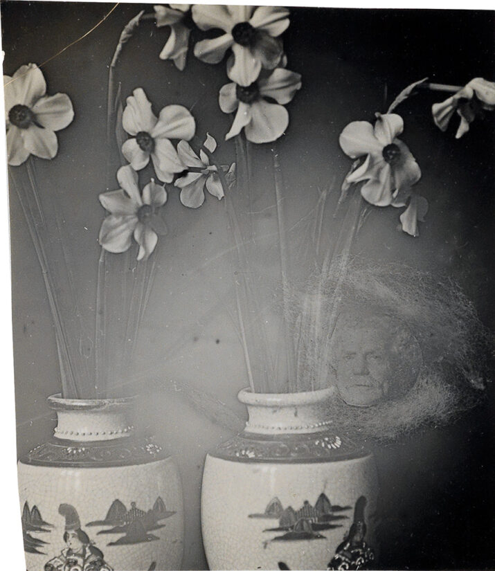 Falconer Brothers - Flowers and Spirit Spirit Photograph